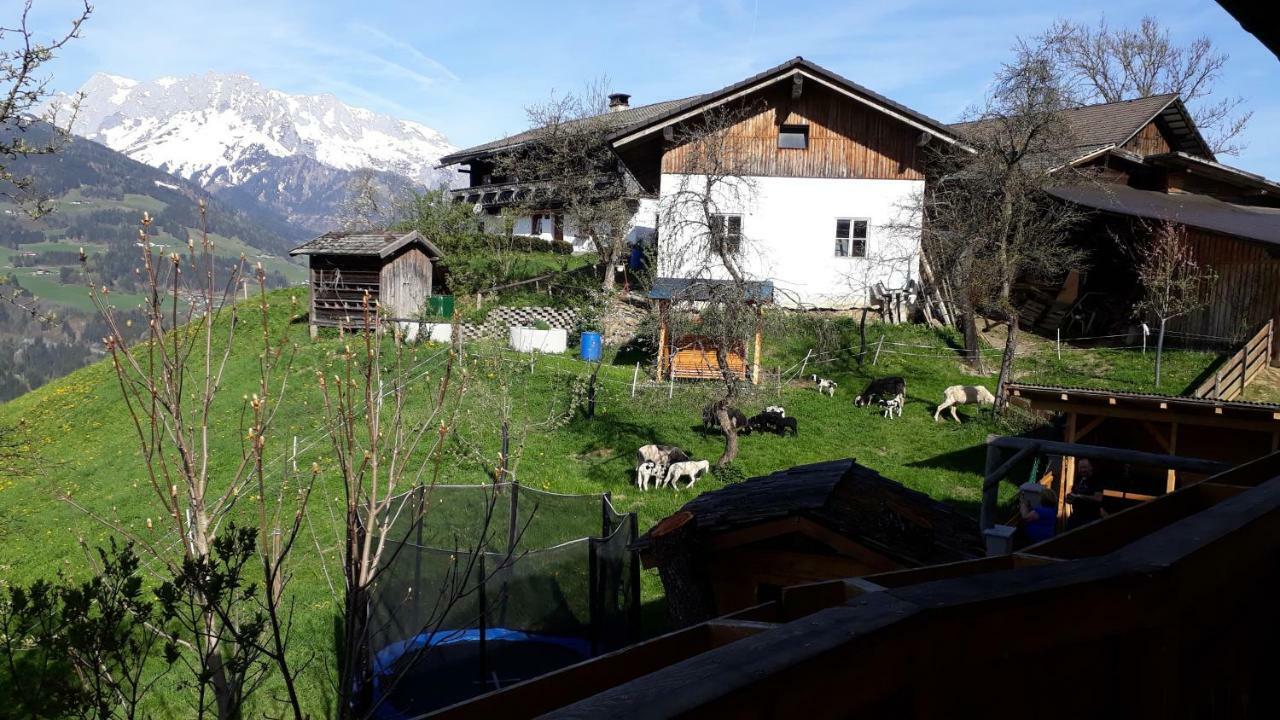 Landhaus Katharina Bischofshofen Exterior photo